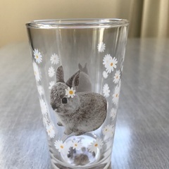 うさぎ　グラス