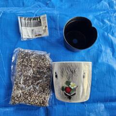 ウサギのポットで育てるワイルドストロベリーの栽培セットの画像