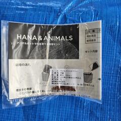 ウサギのポットで育てるワイルドストロベリーの栽培セットの画像