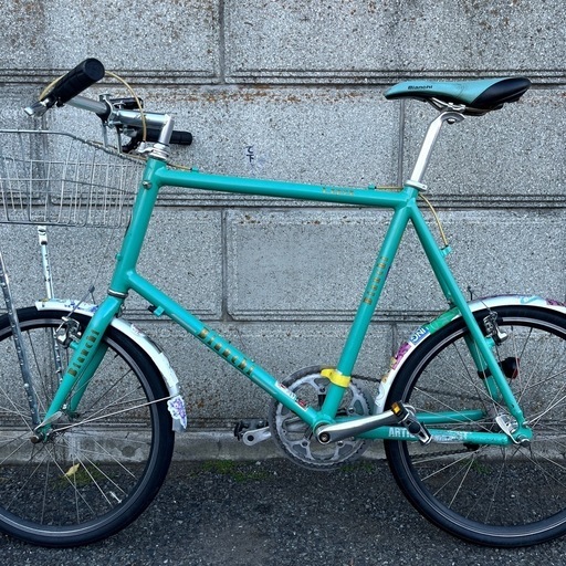 bianchi lepre