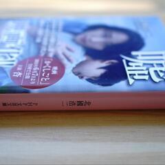 【未読品】文庫本：嘘／北國浩二(著)の画像