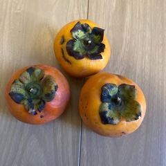 柿10個で180円！前回大好評✨