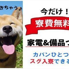【レア求人】【入寮限定】ティッシュ配りがサボってないか監視するお仕事！