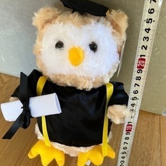 アメリカ　卒業式ぬいぐるみ　フクロウ