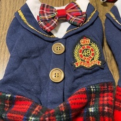 【お値下げ】ペットの洋服　犬　　AKB48風　3点セットの画像