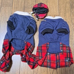【お値下げ】ペットの洋服　犬　　AKB48風　3点セットの画像