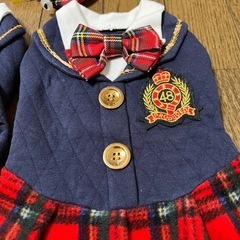 【お値下げ】ペットの洋服　犬　　AKB48風　3点セットの画像