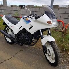 お値下げ　動画有　ホンダ　VT250F　MC15　実働　土日引取り大歓迎♪　さいたま市桜区発　ZZRCBVTZMCの画像