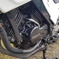 お値下げ　動画有　ホンダ　VT250F　MC15　実働　土日引取り大歓迎♪　さいたま市桜区発　ZZRCBVTZMCの画像