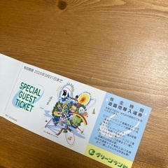 グリーンランド入園券2枚