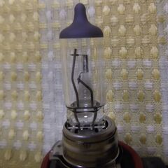 H11 ハロゲンバルブ 12Vの画像
