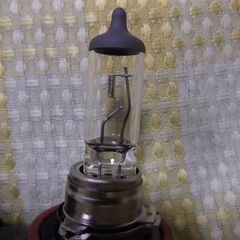 H11 ハロゲンバルブ 12Vの画像