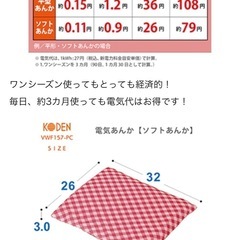 値下げ　【美品】広電　ソフトあんか　2つ1000円　　　の画像