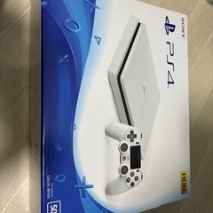 PS4本体