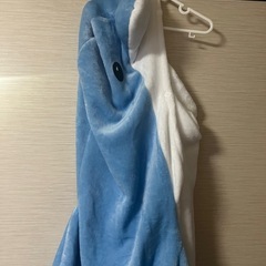 イルカの着ぐるみの画像