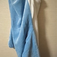 イルカの着ぐるみの画像