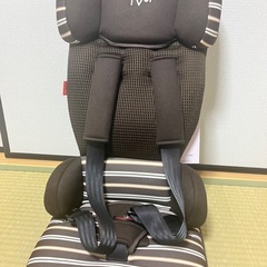 トラベルベスト ECプラス ブラウンボーダー(1台)