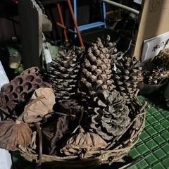 木の実・あけびリース　200円〜たくさんあります！の画像