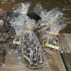 木の実・あけびリース　200円〜たくさんあります！の画像