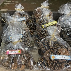 木の実・あけびリース　200円〜たくさんあります！の画像