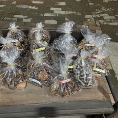 木の実・あけびリース　200円〜たくさんあります！