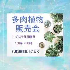 多肉、観葉植物 販売会
