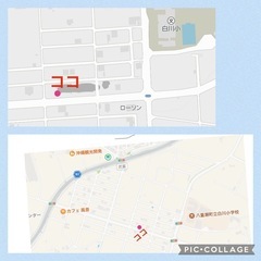 多肉、観葉植物 販売会 - イベント