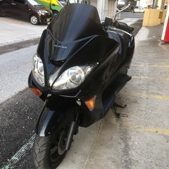 MF08ベルトの画像