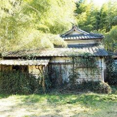 滋賀県全域の【空き家・ゴミ屋敷】まるごと引き受けます！ - 地元のお店