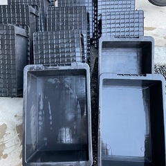 NV13ボックス　めだか