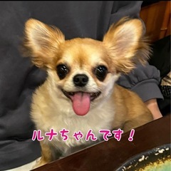 人生変えたい方、向上心のある方は是非‼️ - 友達