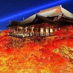 11月29から12月1日