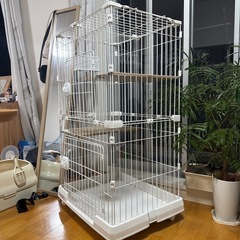 アイリスオーヤマ 猫 ケージ ミニタイプ 2段 ハンモック付き マットホワイトの画像