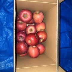 受け渡し予定
りんご　ふじ10キロ弱　傷あり