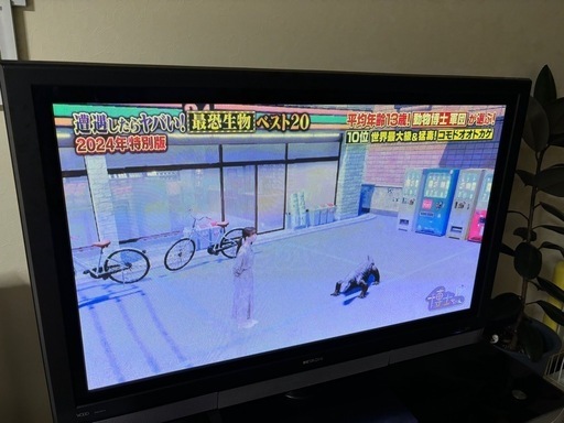 プラズマテレビ HITACHI WOOO