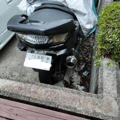 自賠責付き☆マジェスティの画像