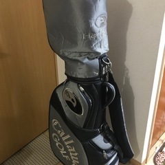 プロギア　データ801