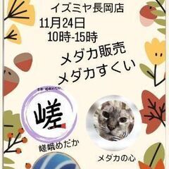 めだかイベント！