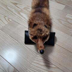 【💯本物】キツネのマフラーの画像