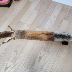 【💯本物】キツネのマフラーの画像