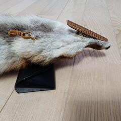 【💯本物】キツネのマフラーの画像