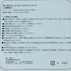 大人も子どももＯＫ アニマルブランケット ライオンの画像