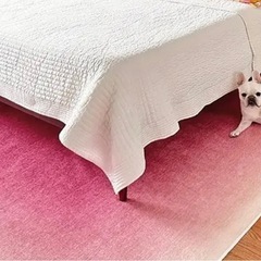 チークカーペット　ピンクの画像