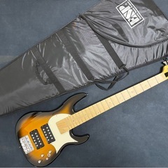 Edwards E-LW-135M【直接引渡】