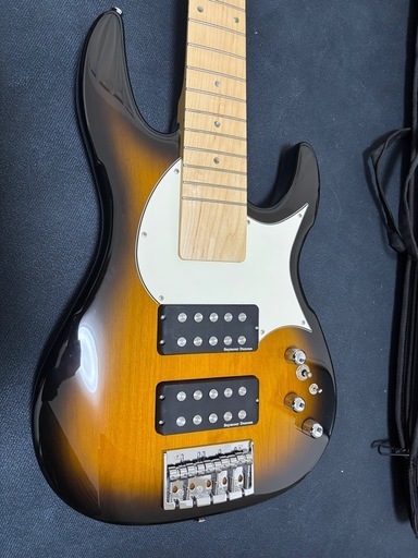 Edwards E-LW-135M【直接引渡】