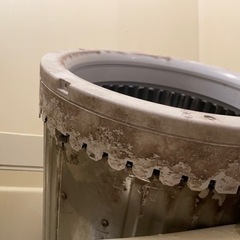 洗濯機完全分解洗浄