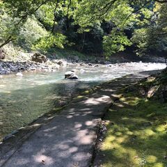 【20代中心のハイキング恋活】嵐山〜保津峡