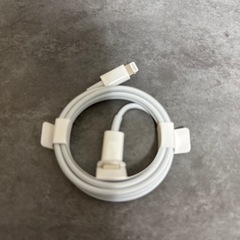純正iPhone充電器USB TypeCケーブル