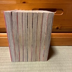 １２歳　まいた菜穂の画像