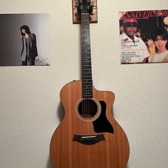 Taylor ギター エレアコ